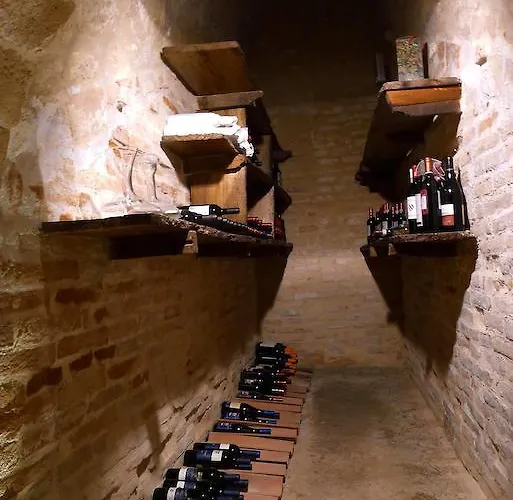 팜스테이 Agriturismo Palazzo Baldini 반냐카발로